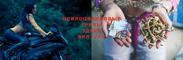 a pvp Абинск