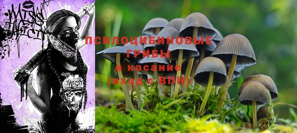 МДМА Абдулино